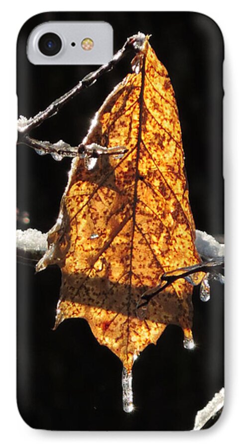 Vertical iPhone 7 Case featuring the photograph Goodbye to Autumn by Bill Tomsa