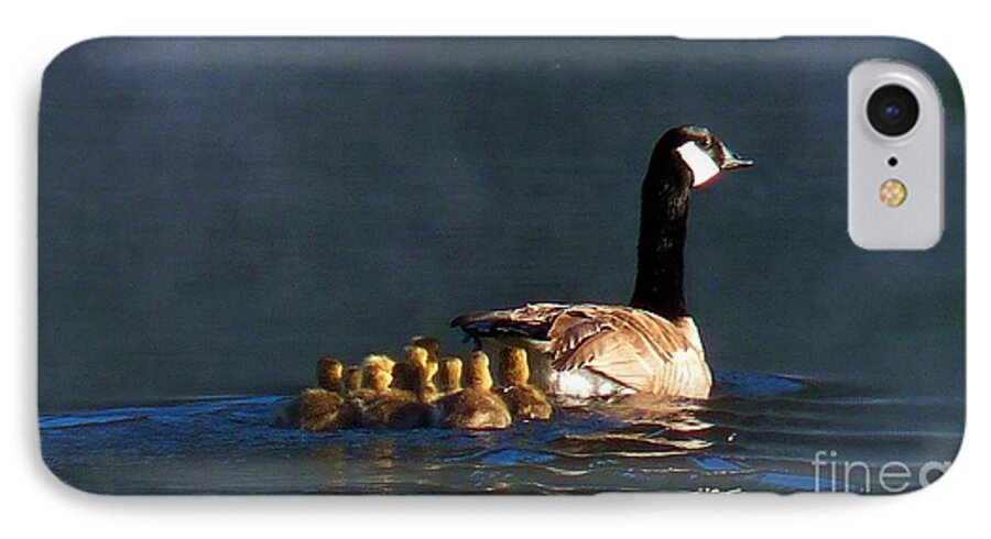 Nature iPhone 7 Case featuring the photograph Gosling On Parade by Julia Hassett