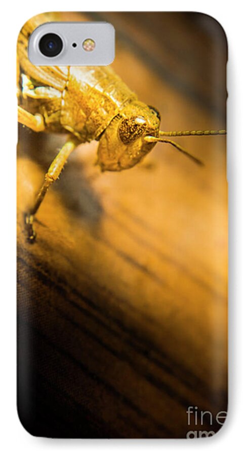 Grasshopper iPhone 7 Case featuring the photograph Grasshopper under shining yellow light by Jorgo Photography