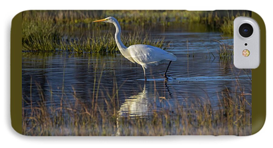 Pond iPhone 7 Case featuring the photograph Great egret, ardea alba, in a pond by Elenarts - Elena Duvernay photo