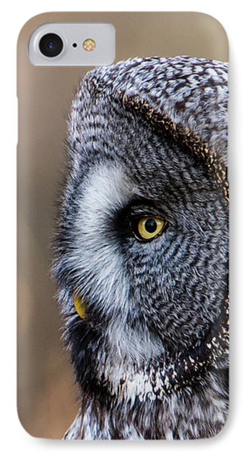 Great Greys Profile iPhone 7 Case featuring the photograph Great Grey's Profile a closeup by Torbjorn Swenelius