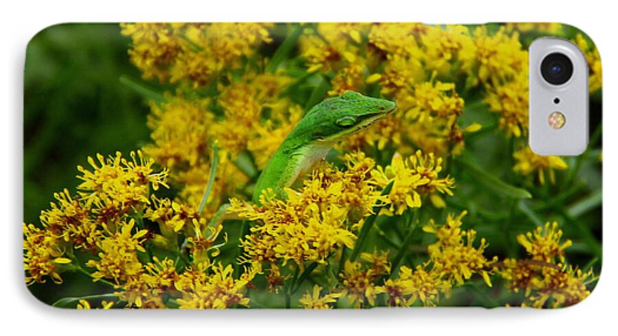 Green Anole iPhone 7 Case featuring the photograph Green Anole hiding in Golden rod by Barbara Bowen