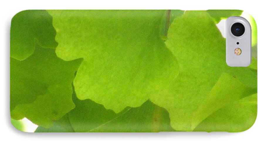 Ginkgo Leaves iPhone 7 Case featuring the photograph Green Ginkgo by Kim Tran