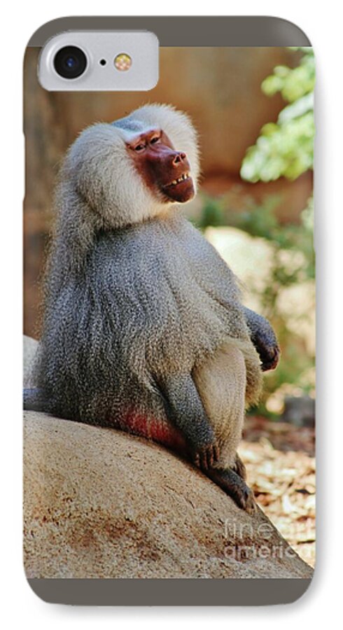 Baboon iPhone 7 Case featuring the photograph Grinning Baboon by Craig Wood