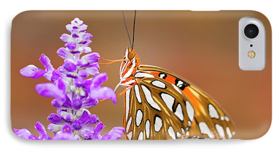 Butterfly iPhone 7 Case featuring the photograph Gulf Fritillary by Shelley Neff