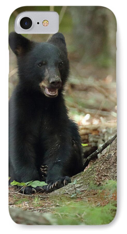 Black Bear iPhone 7 Case featuring the photograph Have You Seen My Mother by Coby Cooper