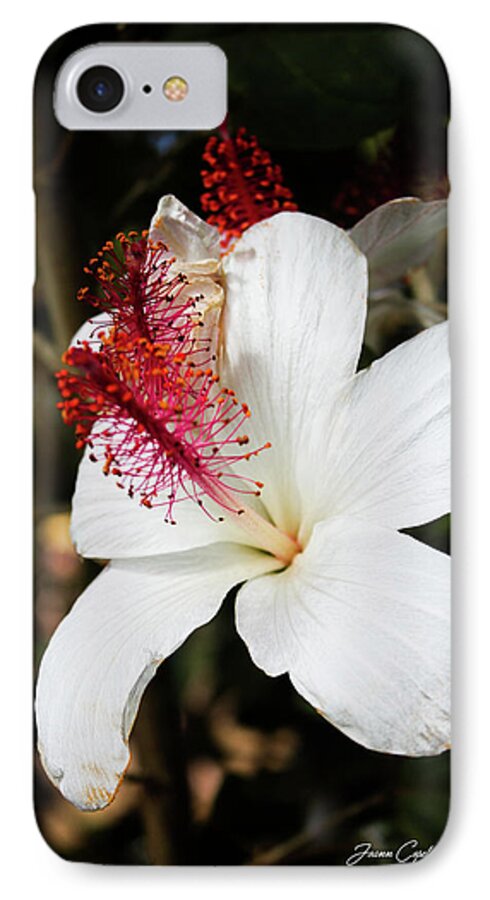 Hawaiian iPhone 7 Case featuring the photograph Hawaiian Hibiscus by Joann Copeland-Paul