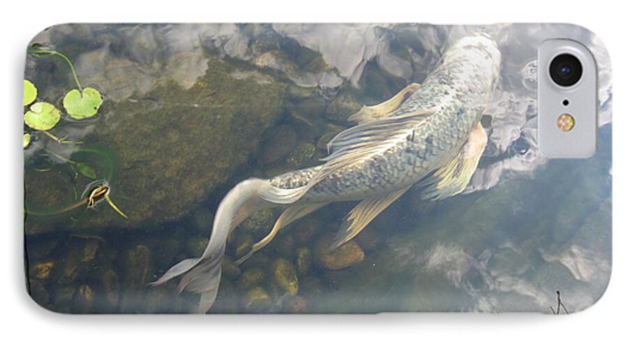 Water iPhone 7 Case featuring the photograph Heavenly fish by Laurianna Taylor