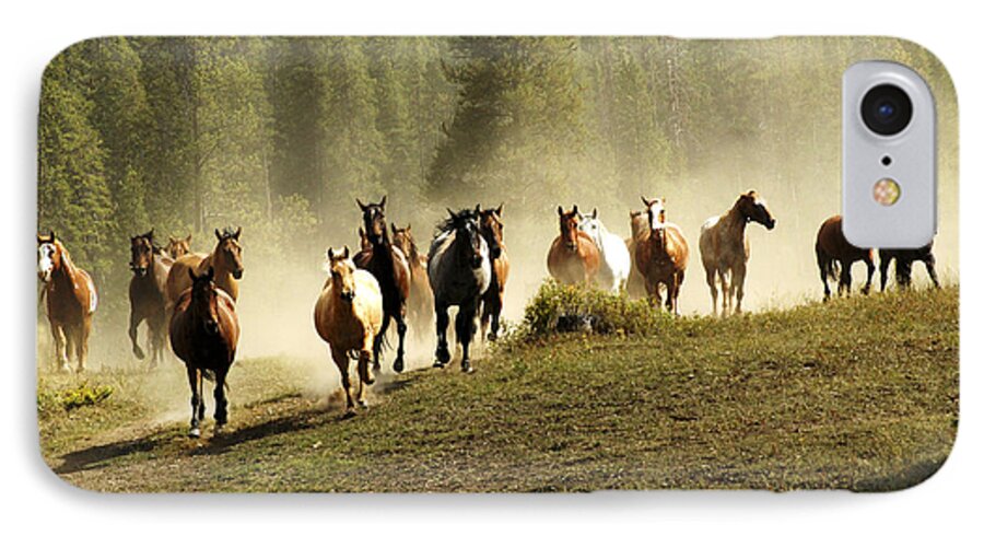 Horses iPhone 7 Case featuring the photograph Herd of Wild Horses by Scott Read
