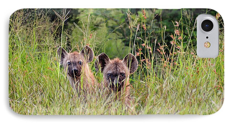 Hyena iPhone 7 Case featuring the photograph Hide-n-Seek Hyenas by Gaelyn Olmsted