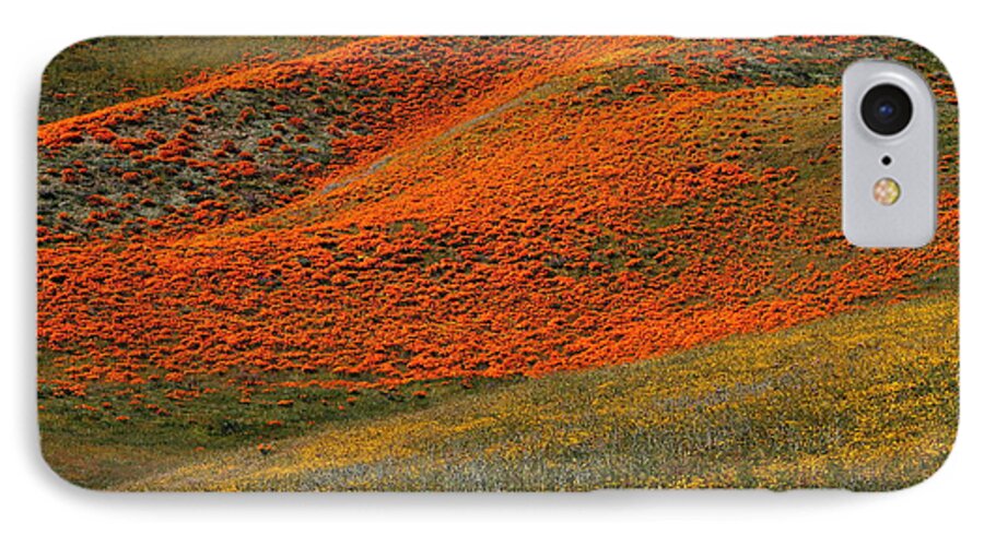 Flower iPhone 7 Case featuring the photograph Hills of gold and yellow near Antelope Valley Poppy Preserve by Jetson Nguyen