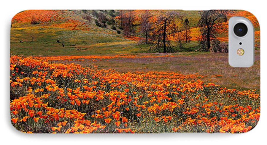 Flower iPhone 7 Case featuring the photograph Hills of orange near Antelope Valley Poppy Preserve in California by Jetson Nguyen