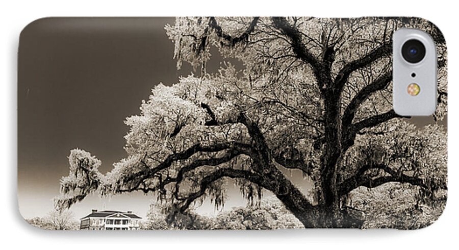 Historic iPhone 7 Case featuring the photograph Historic Drayton Hall in Charleston South Carolina Live Oak Tree by Dustin K Ryan