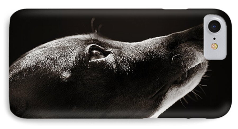 Peaceful iPhone 7 Case featuring the photograph Hopeful by Angela Rath