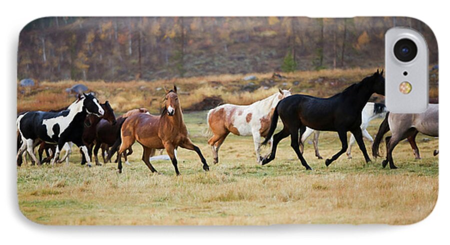 Horse iPhone 7 Case featuring the photograph Horses by Sharon Jones