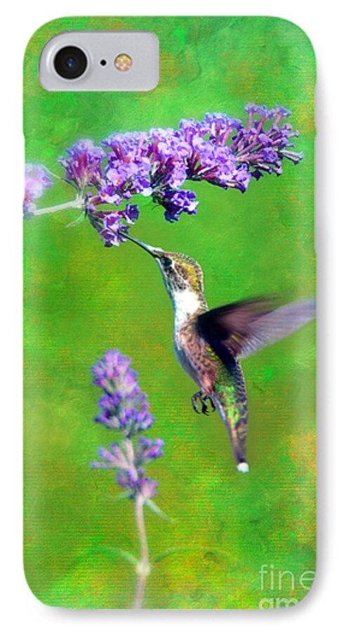 Humming Bird iPhone 7 Case featuring the photograph Humming Bird Visit by Lila Fisher-Wenzel