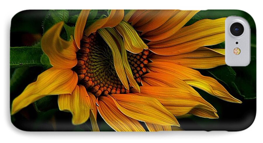 Sunflower iPhone 7 Case featuring the photograph I Need A Comb by Elfriede Fulda