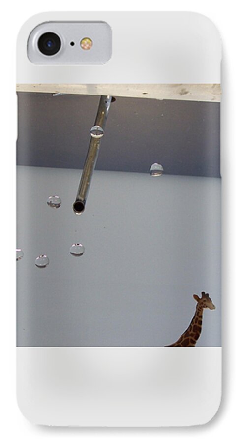 Giraffe iPhone 7 Case featuring the photograph In the Sink by Michelle Miron-Rebbe