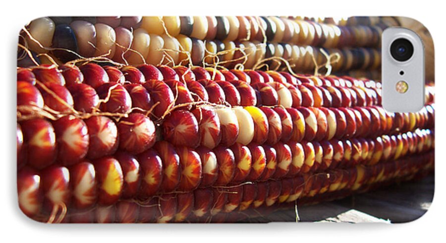 Indian Corn iPhone 7 Case featuring the photograph Indian Corn on The Cob by Shawna Rowe