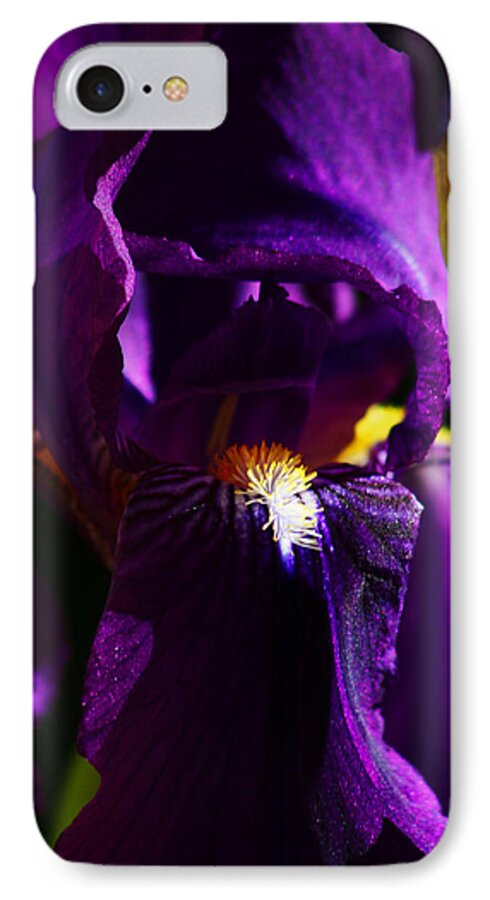 Flower iPhone 7 Case featuring the photograph Iris by Anthony Jones
