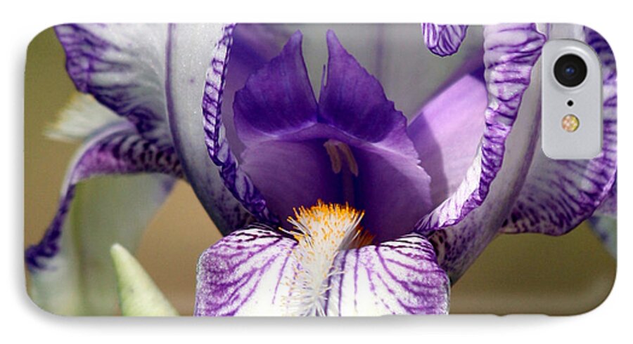Nature iPhone 7 Case featuring the photograph Iris Close-Up by Sheila Brown