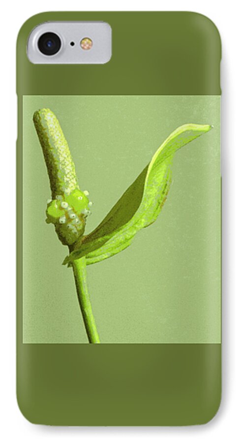 Flower iPhone 7 Case featuring the photograph It's a Green Thing by Lori Lafargue
