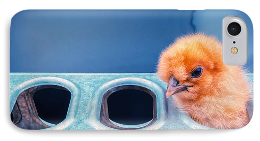Chicks iPhone 7 Case featuring the photograph Iz In Da Feeder. by TC Morgan