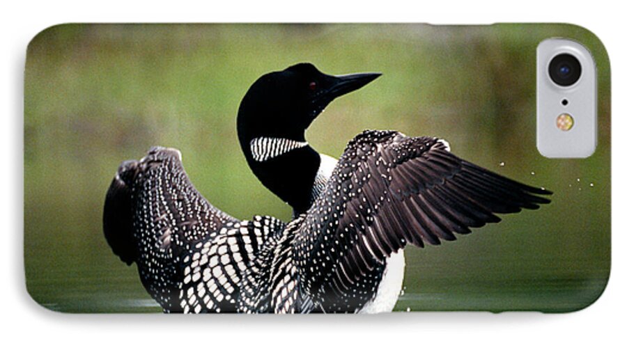 Loon iPhone 7 Case featuring the photograph Jasper - Loon 2 by Terry Elniski