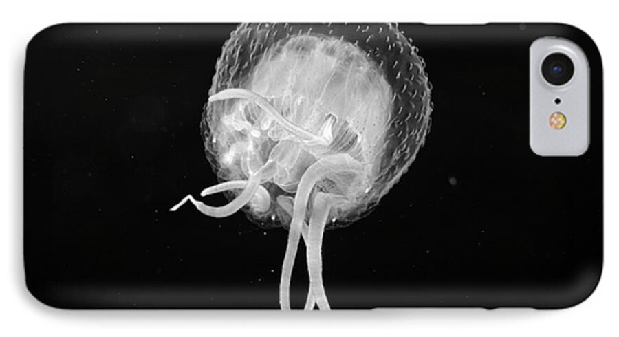 Animal Art iPhone 7 Case featuring the photograph Jellyfish - BW by Dave Fleetham - Printscapes