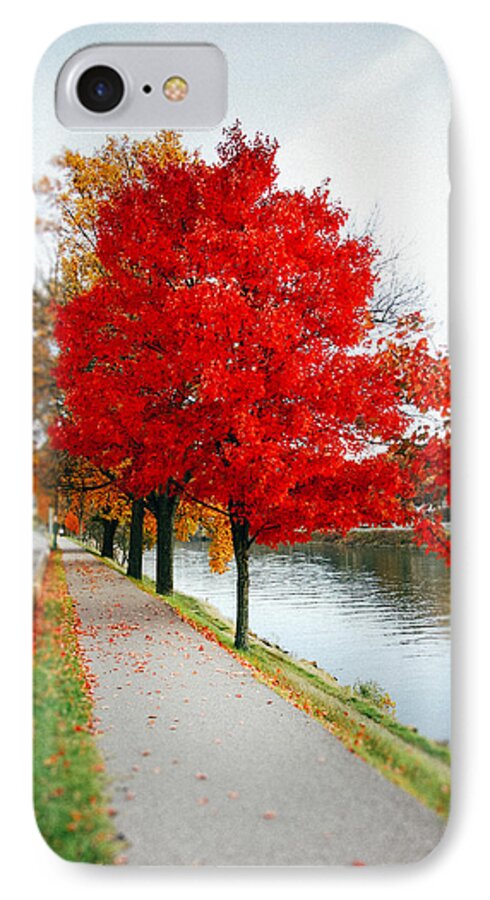 Kanawha Boulevard iPhone 7 Case featuring the photograph Kanawha Boulevard In Autumn by Shane Holsclaw