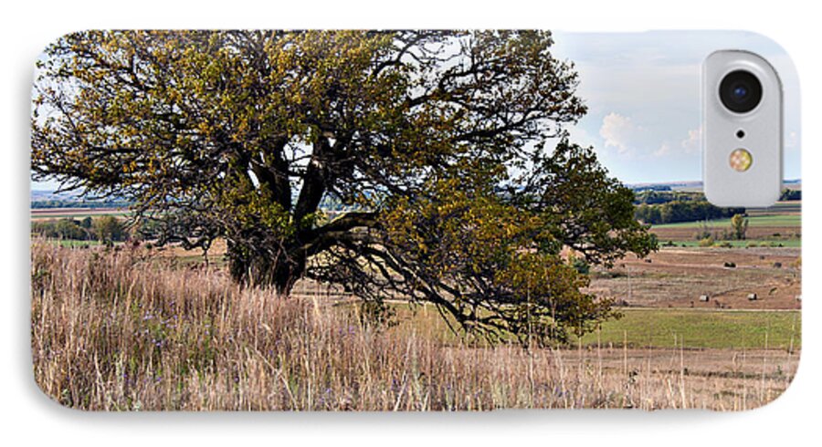 Nature iPhone 7 Case featuring the photograph Kansas One Tree Hill Square by Lee Craig