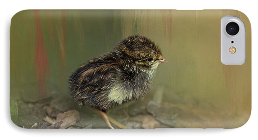 King Quail iPhone 7 Case featuring the photograph King Quail Chick by Eva Lechner