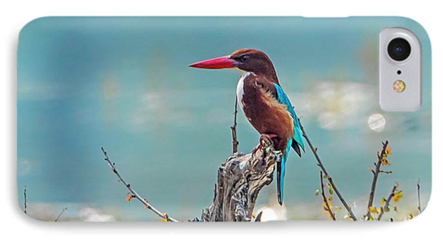 Bird iPhone 7 Case featuring the photograph Kingfisher on a stump by Pravine Chester