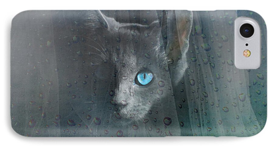 Blue iPhone 7 Case featuring the photograph Kitty at the Window by Chris Armytage