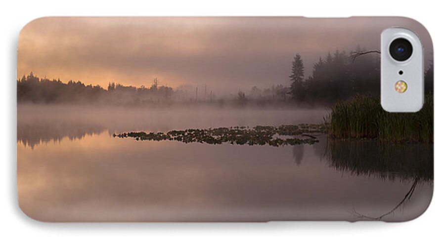 Lake Cassidy iPhone 7 Case featuring the photograph Lake Marsh by Jim Corwin