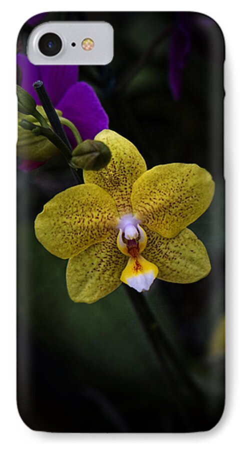 South Pacific iPhone 7 Case featuring the photograph Last Dance by Lucinda Walter