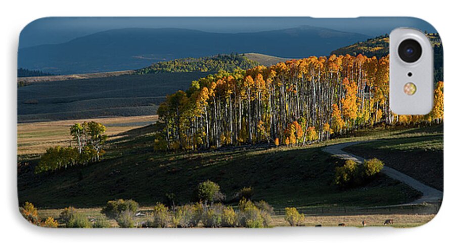 Colorado iPhone 7 Case featuring the photograph Late Stand by Dana Sohr