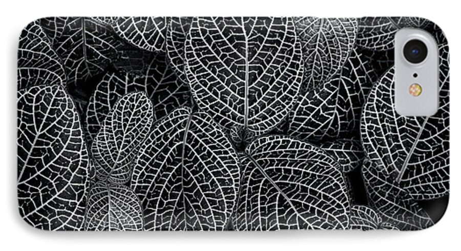 Leafy iPhone 7 Case featuring the photograph Leaf Pattern by Wayne Sherriff