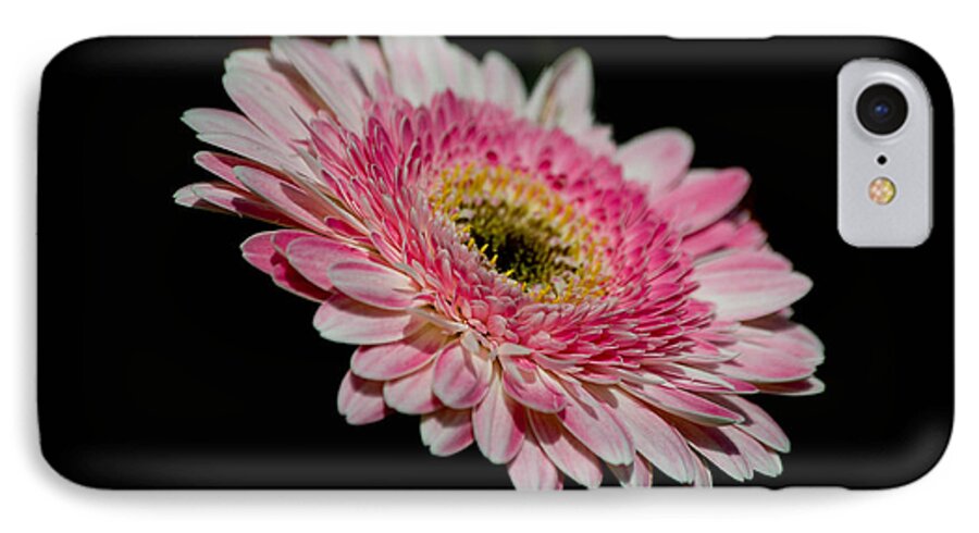 Gerber iPhone 7 Case featuring the photograph Left In The Dark by Trish Tritz