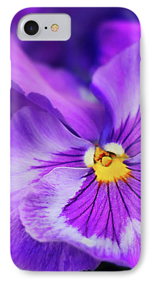 Violet iPhone 7 Case featuring the photograph Letters To Violet by Iryna Goodall