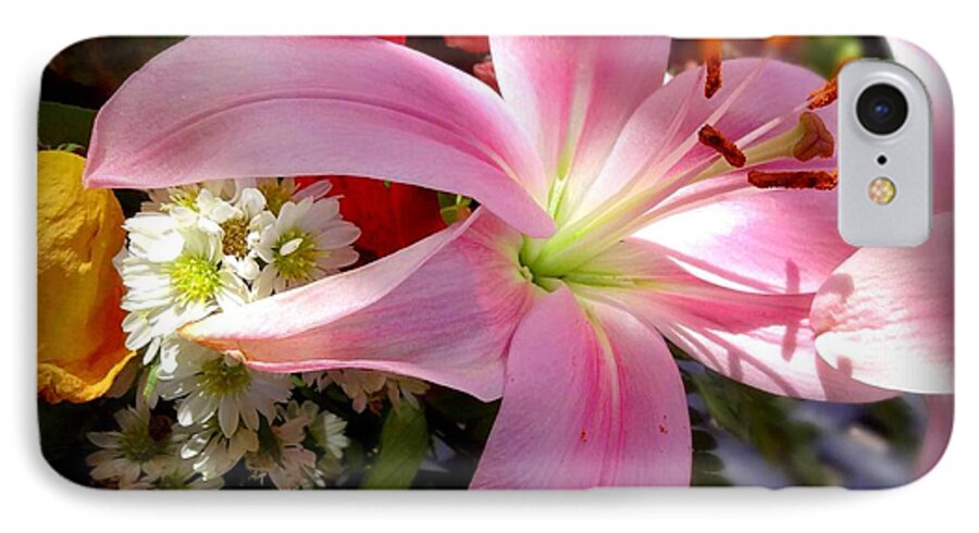Lily iPhone 7 Case featuring the photograph Lighted Lily by Donna Spadola