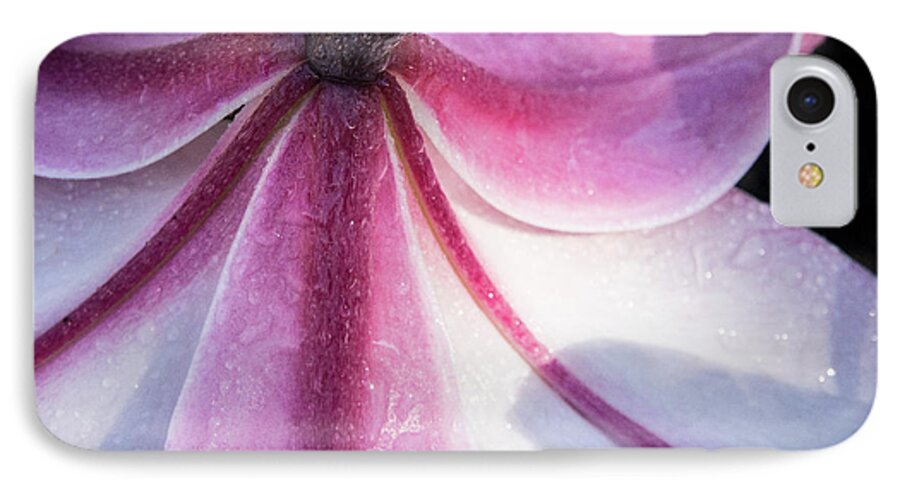 Jean Noren iPhone 7 Case featuring the photograph Lilies Backside by Jean Noren