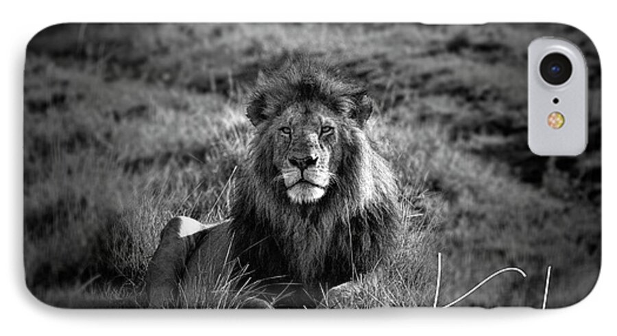 Lion iPhone 7 Case featuring the photograph Lion King by Karen Lewis