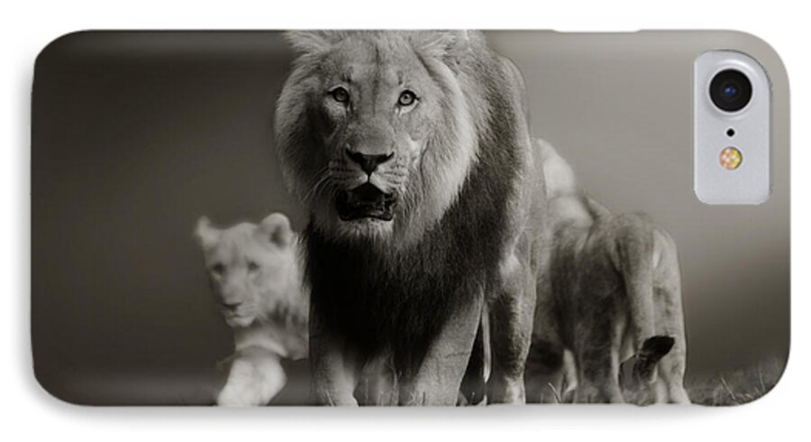 Lion iPhone 7 Case featuring the photograph Lions on their way by Christine Sponchia
