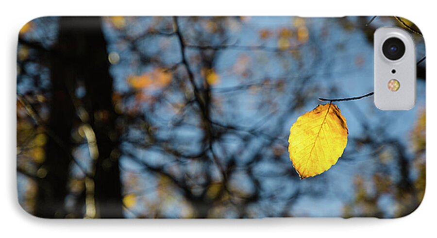 Autumn iPhone 7 Case featuring the photograph Lit Lone Leaf by Kennerth and Birgitta Kullman