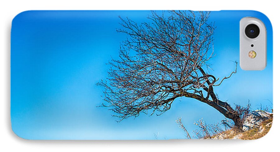 Bulgaria iPhone 7 Case featuring the photograph Lonely Tree Blue Sky by Jivko Nakev