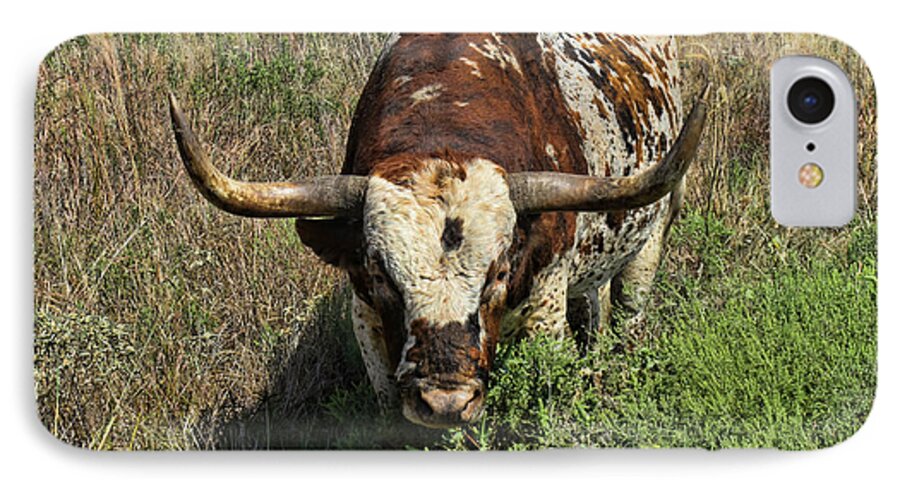 Longhorn iPhone 7 Case featuring the photograph Longhorn II by Tony Grider