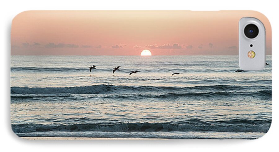 Daytona Beach iPhone 7 Case featuring the photograph Looking for Breakfest by Ed Taylor