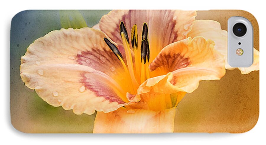 Lilly iPhone 7 Case featuring the photograph Luminosity by Betty LaRue
