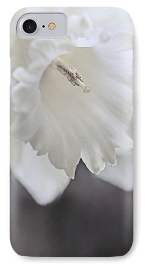 Daffodil iPhone 7 Case featuring the photograph Luminous Ivory Daffodil Flower by Jennie Marie Schell